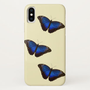 title_seo2 Mariposa morfa azul