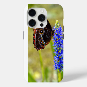 Funda Para iPhone 15 Pro Mariposa morfo azul en una orquídea de mariscos