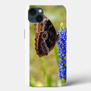 Funda Para iPhone 13 Mariposa morfo azul en una orquídea de mariscos