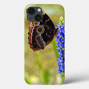 Funda Para iPhone 13 Mariposa morfo azul en una orquídea de mariscos
