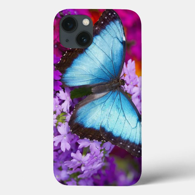 Funda De Case-Mate Para iPhone Mariposa Tropical de Sammamish Washington (Reverso)