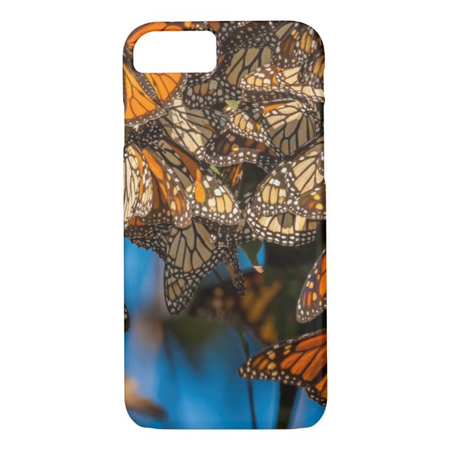 Funda De Case-Mate Para iPhone Mariposas monarcas migratorias aferradas a hojas (Reverso)