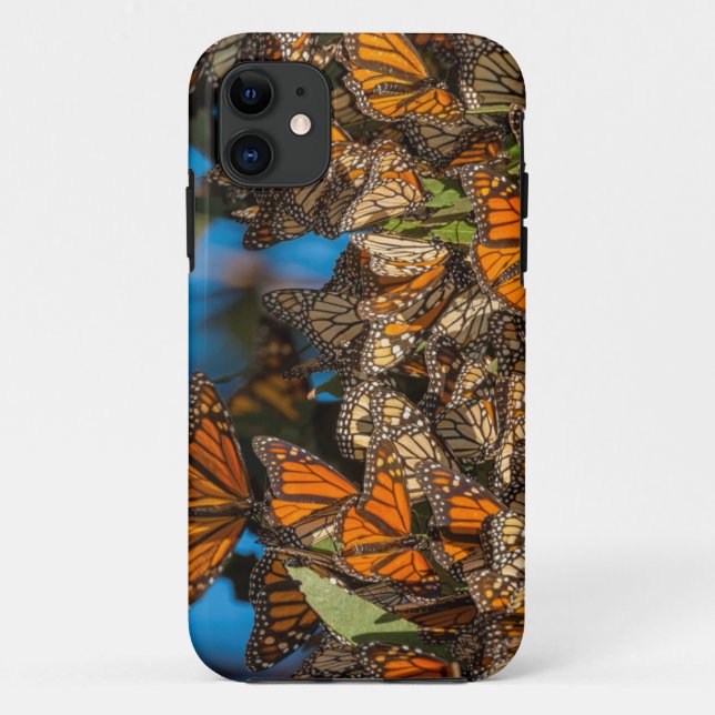Funda De Case-Mate Para iPhone Mariposas monarcas migratorias aferradas a hojas (Reverso)