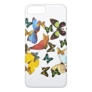 title_seo2 Mariposas Naranja amarillo-azul-verde
