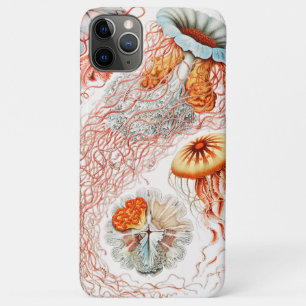 Funda Para iPhone 11 Pro Max Marisco, Discomedusae de Ernst Haeckel