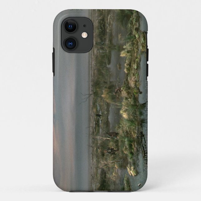 Funda De Case-Mate Para iPhone Marismas muertas (Reverso)