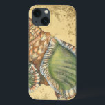 Funda Para iPhone 13 Marrón y verde<br><div class="desc">Si no puedes llegar a la playa hoy mismo,  ten en cuenta esta imagen clásica de esta única y única concha verde y marrón. Esta concha junto al océano está rodeada de arena cálida en este cuadro y es ideal para los productos náuticos.</div>