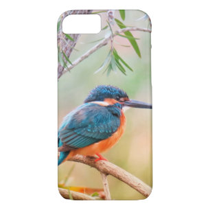Funda Para iPhone 8/7 Martín pescador encaramado en rama
