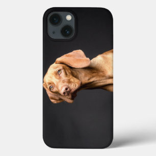 Funda Para iPhone 13 Mascota Brown Beagle Dog