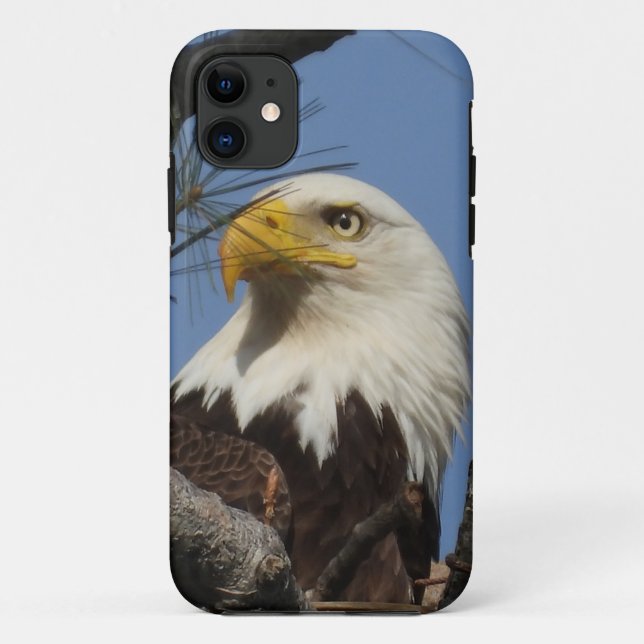 Funda De Case-Mate Para iPhone Mature Bald Eagle Close Head (Reverso)