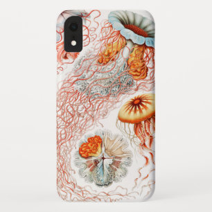 Funda Para iPhone XR Medusas, Discomedusae por Ernst Haeckel