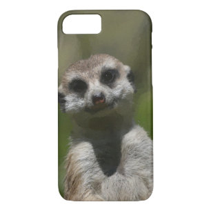 title_seo2 Meerkat20151005