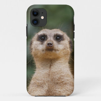 Funda Para iPhone 11 Meerkat 001