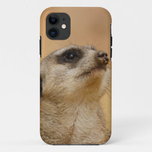 Funda Para iPhone 11 Meerkat_001_by_JAMFoto