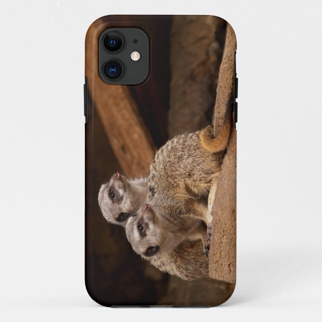 Funda De Case-Mate Para iPhone Meerkat iPhone 5 (Reverso)