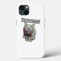 Meme de gatos divertidos para los gatitos y los am
