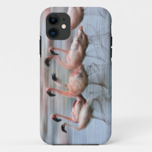 Funda Para iPhone 11 Menos flamencos en movimiento, Phoenicopterus