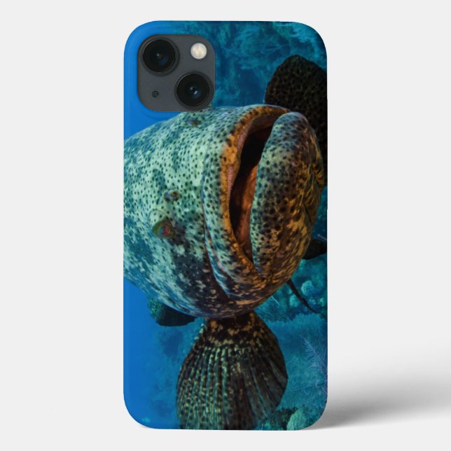 Funda De Case-Mate Para iPhone Mero atlántico de Goliat (Reverso)