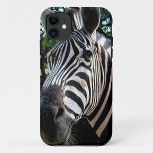 Funda Para iPhone 11 Mi amigo rayado