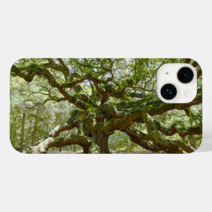 title_seo2 Mighty Angel Oak