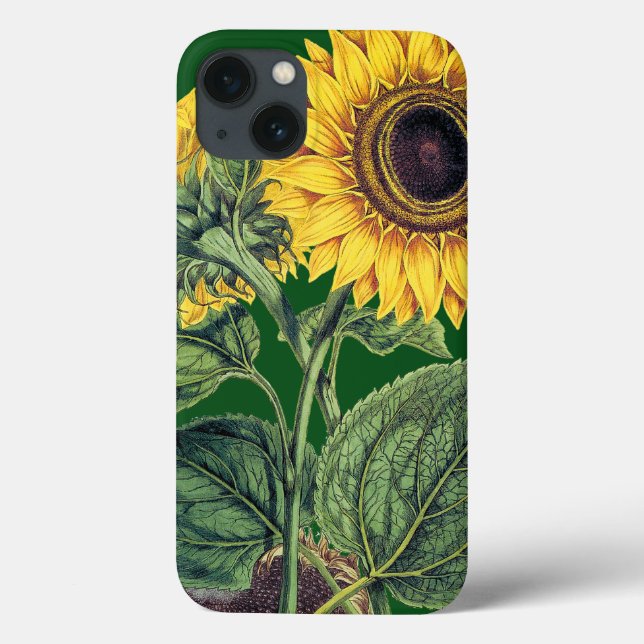 Funda De Case-Mate Para iPhone Miller: Girasol (Reverso)