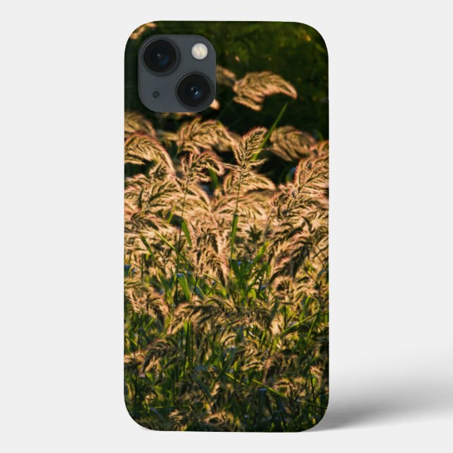 Funda De Case-Mate Para iPhone Millón silvestre (Panicum Sp.) Crecer En Humedales (Reverso)