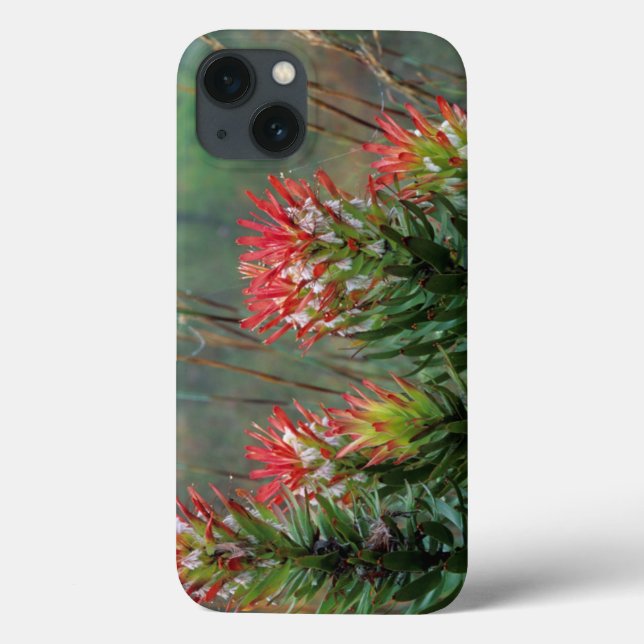 Funda De Case-Mate Para iPhone Mimetes Común (Mimetes Cucullatus) (Reverso)
