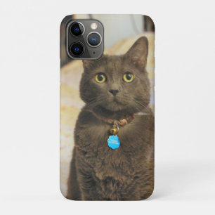 Funda Para iPhone 11 Pro Mims