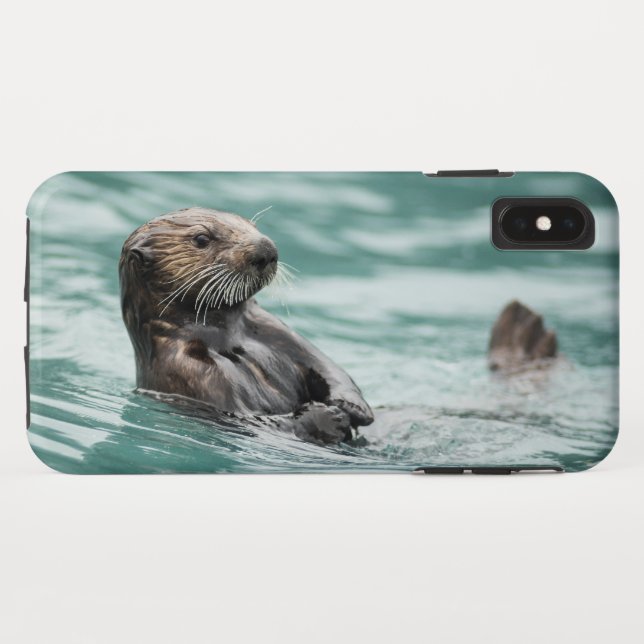 Funda De Case-Mate Para iPhone Mirando el Otter marino (Reverso (horizontal))