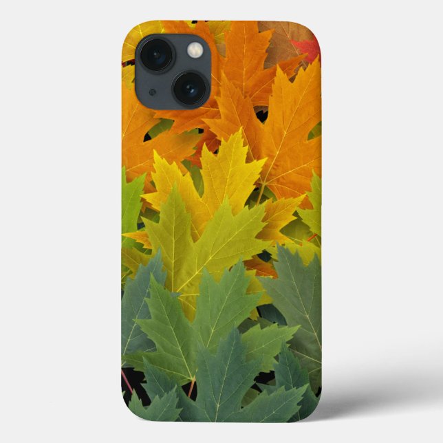 Funda De Case-Mate Para iPhone Modelo 2 del otoño (Reverso)