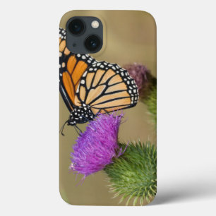 Funda Para iPhone 13 Monarca en la pradera Ridge del cardo del pasto