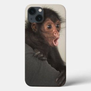 Funda Para iPhone 13 Mono araña de cara roja Ateles paniscus)