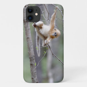 Funda Para iPhone 11 Mono de nariz desnuda dorada en ramas de árboles