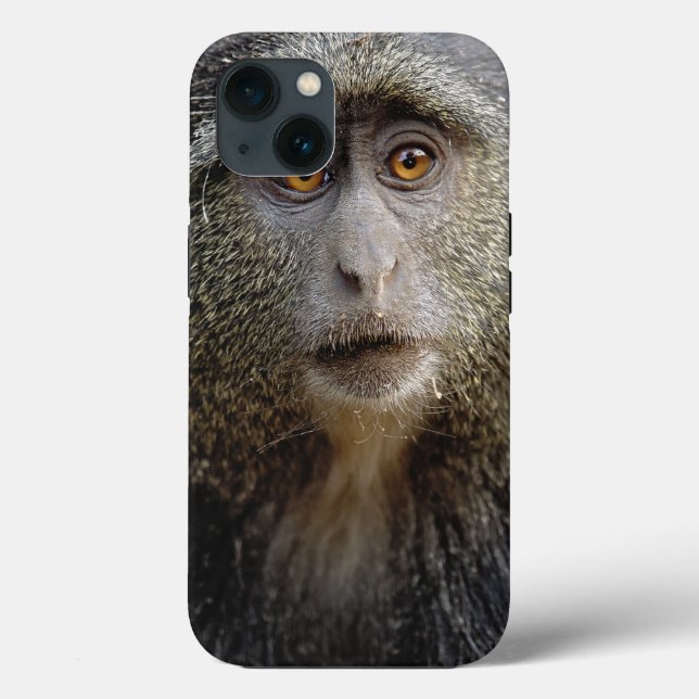 Funda De Case-Mate Para iPhone Mono de Sykes o mono azul, Cercopithecus mitis, (Reverso )