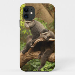 Funda Para iPhone 11 Mono iPhone 5