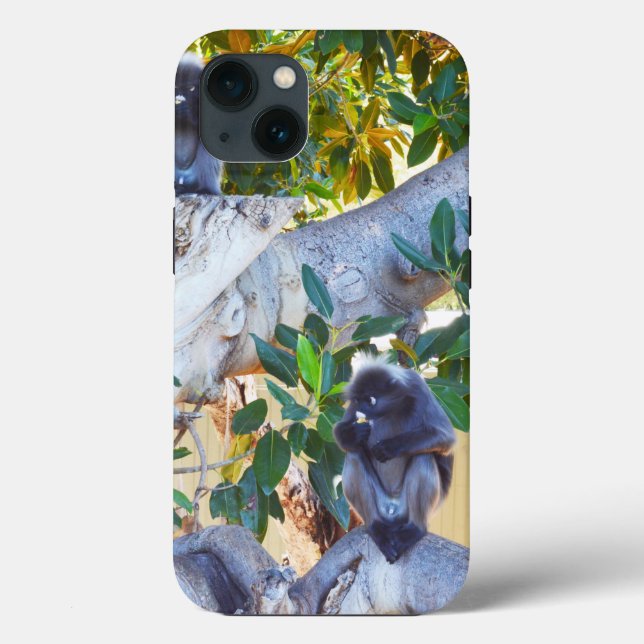 Funda De Case-Mate Para iPhone Monos de Langur Negro comiendo, Funda para iPhone  (Reverso )