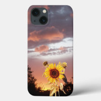 MONTAJE DE SOL DE FLORES Y VERANO