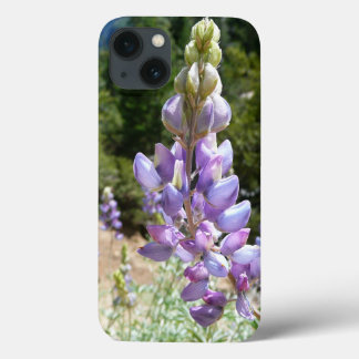 title_seo2 Montaña Lupins en Yosemite