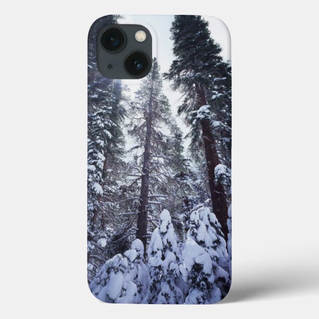 Funda De Case-Mate Para iPhone Montañas California, Sierra Nevada 9 (Reverso)