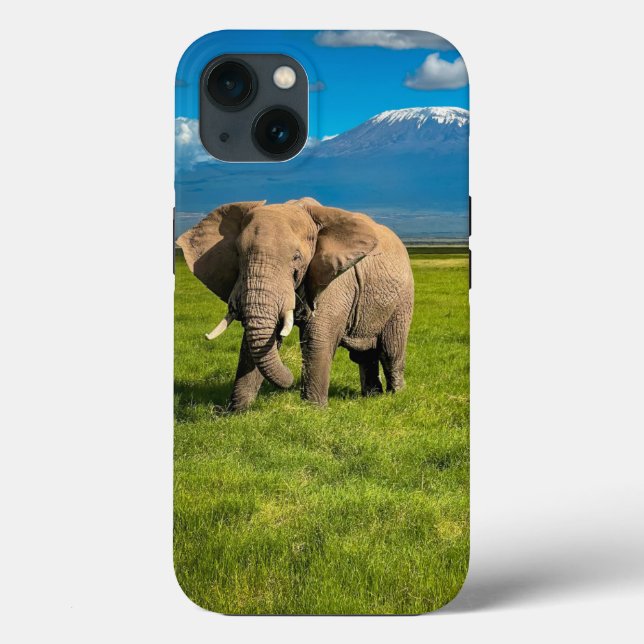 Funda De Case-Mate Para iPhone Montañas | Monte Kilimanjaro Tanzania, África (Reverso )