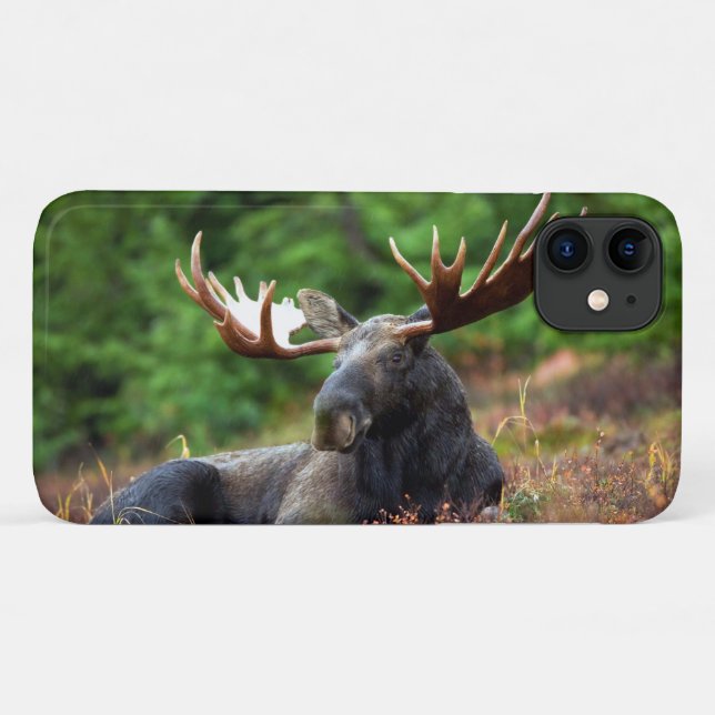 Funda De Case-Mate Para iPhone Moose (Reverso (horizontal))