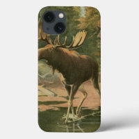 Moose caminando en el agua