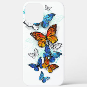 title_seo2 Morfo y monarca de las mariposas voladoras
