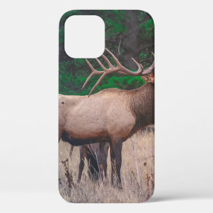 FUNDA PARA iPhone 12 MOSCA MARRONA CERCA DE ÁRBOL VERDE A LA HORA DEL D