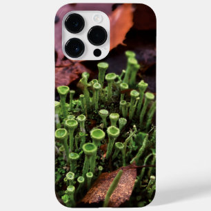Funda Para iPhone 14 Pro Max De Case-Mate moscas