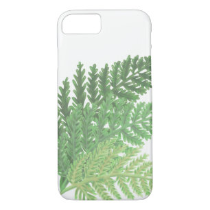 title_seo2 Moss Green Fern