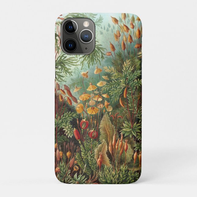 Funda De Case-Mate Para iPhone Moss (Muscinae) de Haeckel (Reverso)