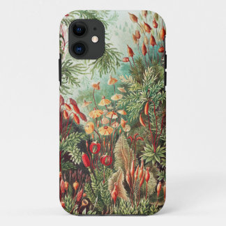 Funda Para iPhone 11 Mosses, muscinae Laubmoose por Ernst Haeckel