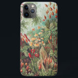 Funda Para iPhone 11 Pro Max Mosses, muscinae Laubmoose por Ernst Haeckel<br><div class="desc">Muscinae Laubmoose de Ernst Haeckel Vintage Planta Caja de teléfonos</div>