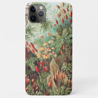 Mosses, muscinae Laubmoose por Ernst Haeckel